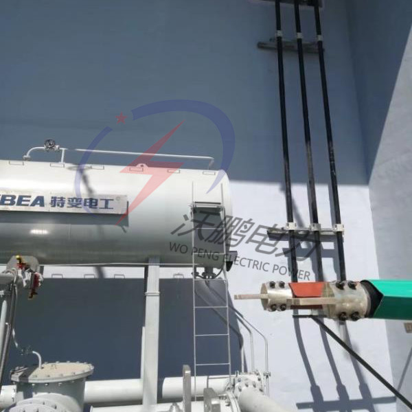 �^����ĸ��